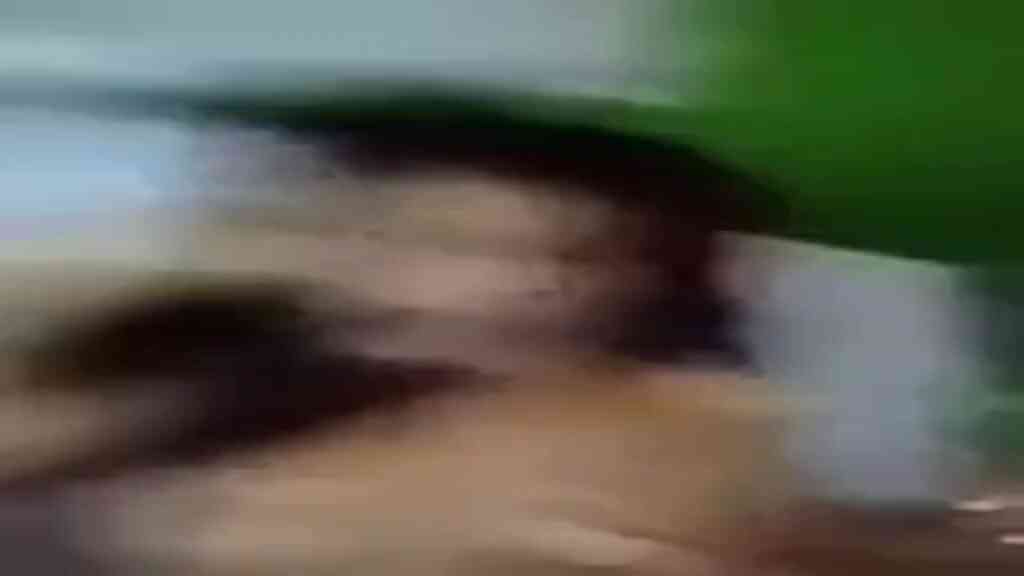 傳說中某女星的私人影片