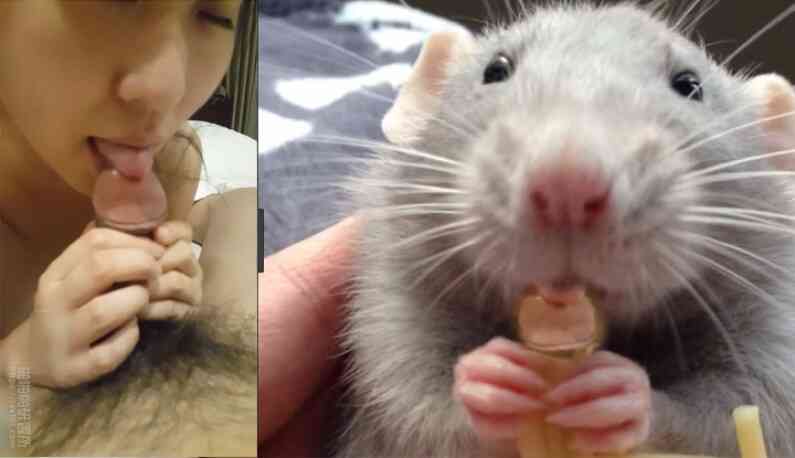 หนุ่มสาวที่ล่าเหยื่อเฉพาะผู้หญิงสมรสเท่านั้นได้ตั้งตามองหาคนที่มีความสามารถและยินดีที่จะร่วมมือกับเวลา