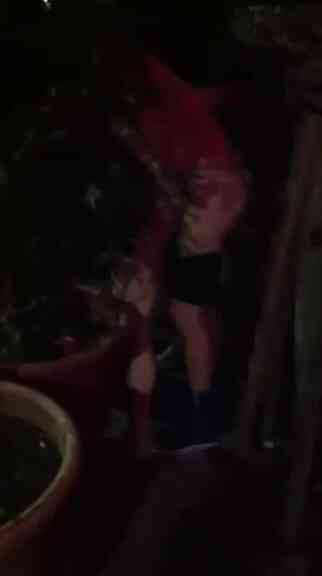 太扯了！老外和CCR台妹在 In house 的某個盆栽中間開始啪啪啪旁若無人