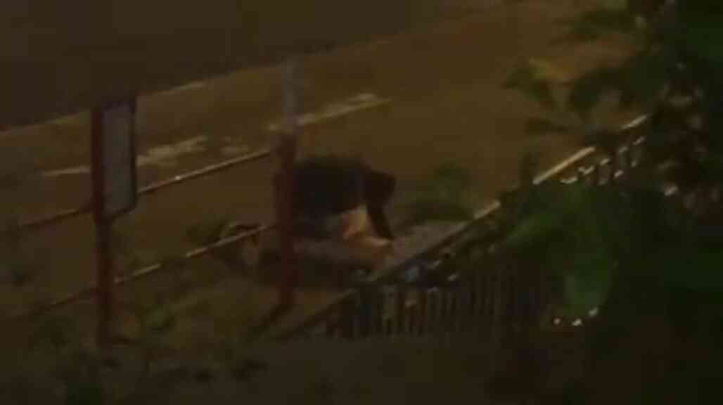 เย็ด ครั้งนี้ไม่มีวันลืม